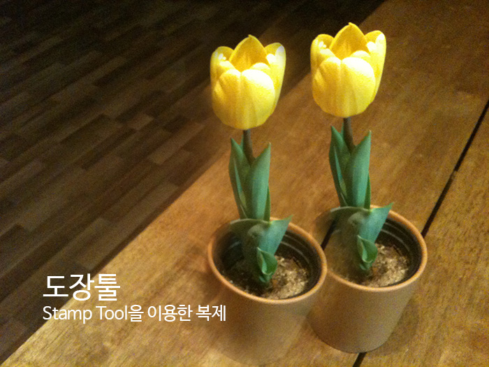 도장툴을 이용한 복제
